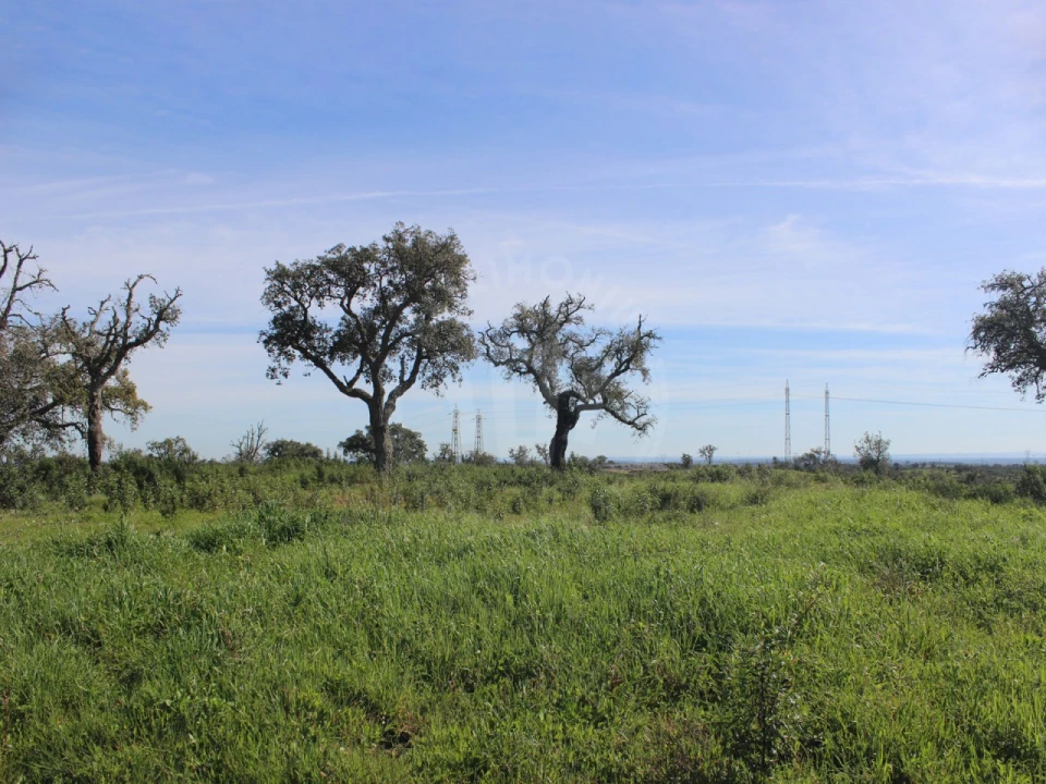 Terreno para Venda em Santiago do Cacém, Santa Cruz e São Bartolomeu da Serra Foto 5
