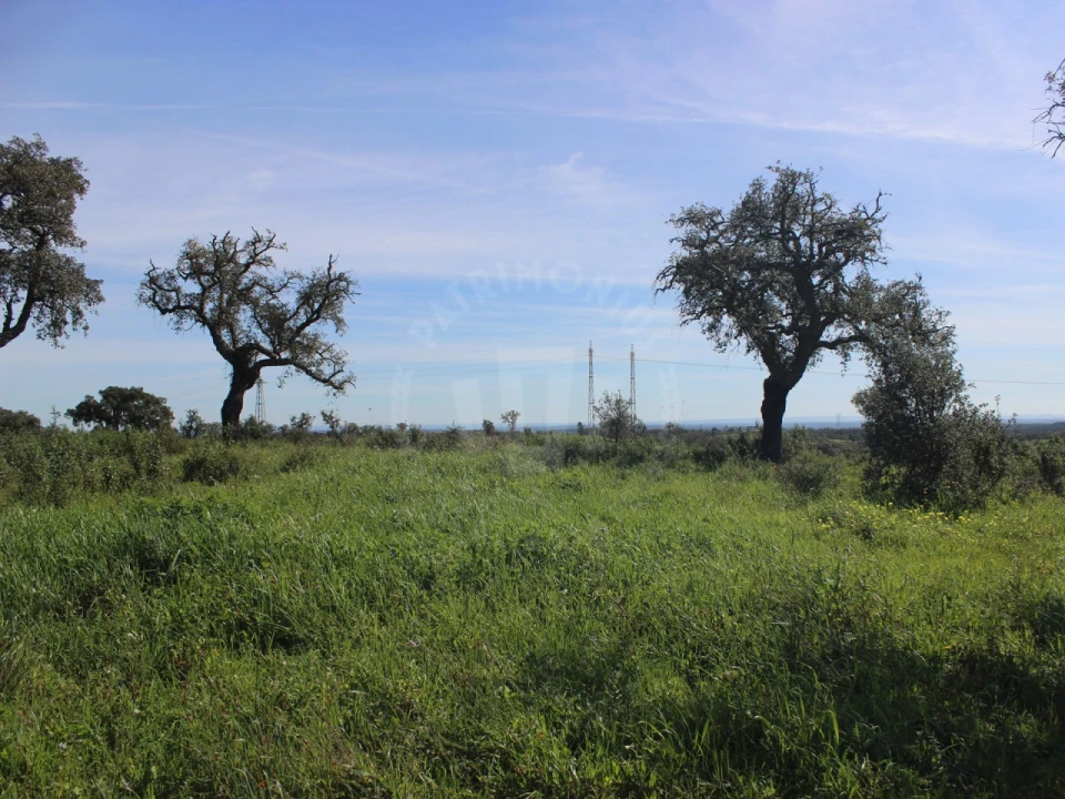Terreno para Venda em Santiago do Cacém, Santa Cruz e São Bartolomeu da Serra Foto 13