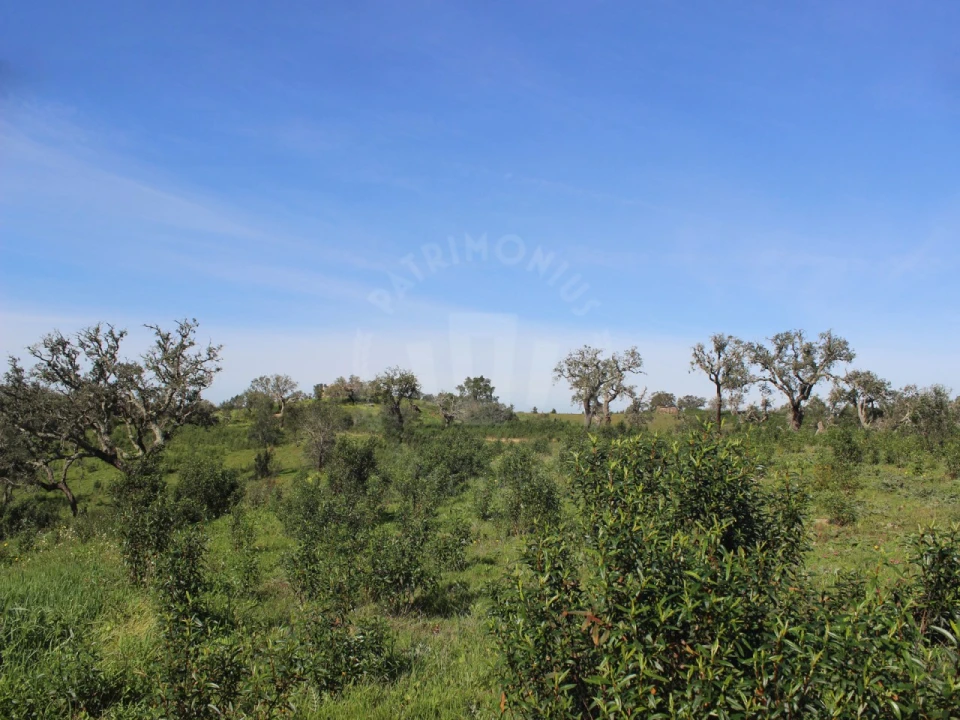 Terreno para Venda em Santiago do Cacém, Santa Cruz e São Bartolomeu da Serra Foto 14