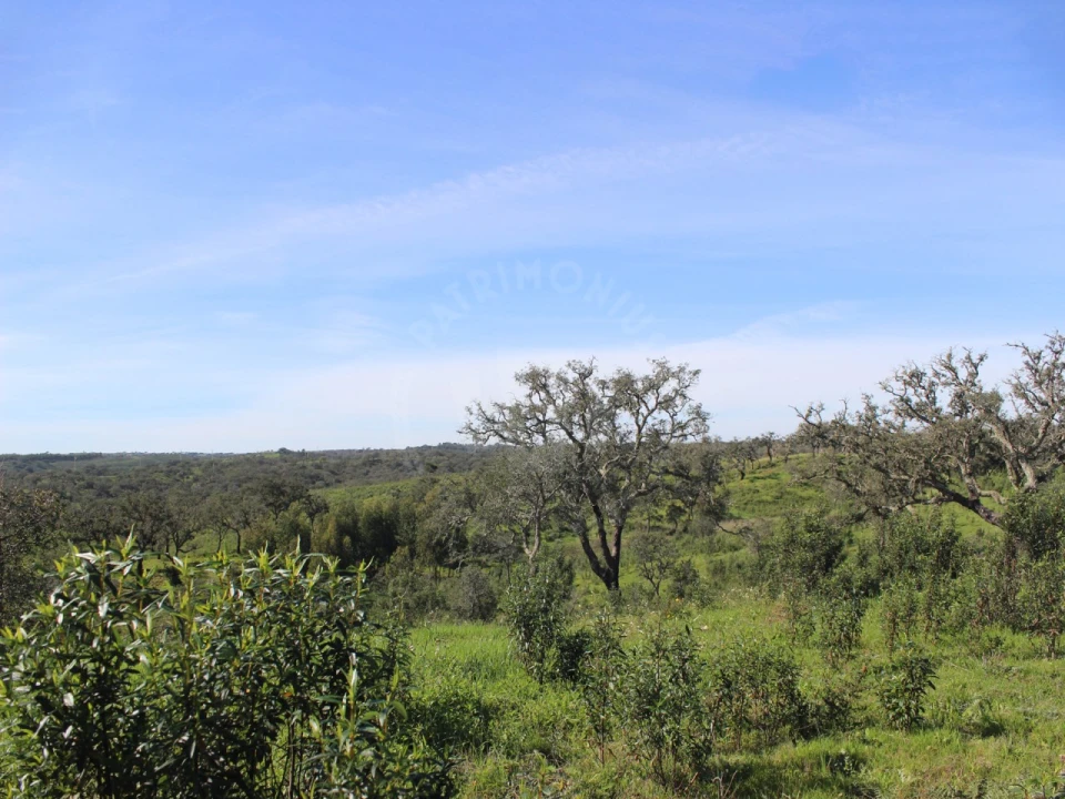 Terreno para Venda em Santiago do Cacém, Santa Cruz e São Bartolomeu da Serra Foto 16
