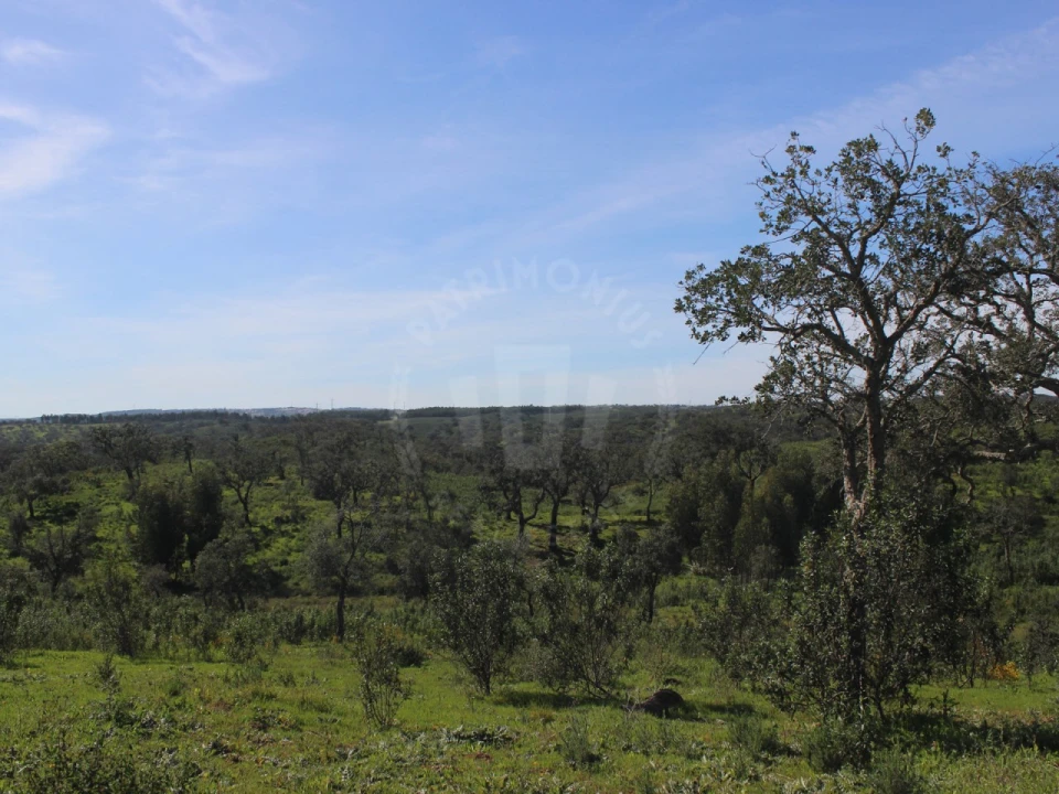 Terreno para Venda em Santiago do Cacém, Santa Cruz e São Bartolomeu da Serra Foto 18