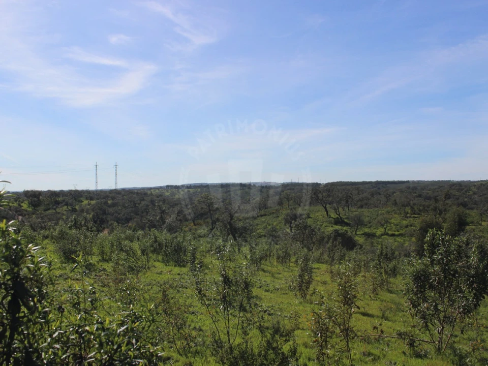 Terreno para Venda em Santiago do Cacém, Santa Cruz e São Bartolomeu da Serra Foto 21