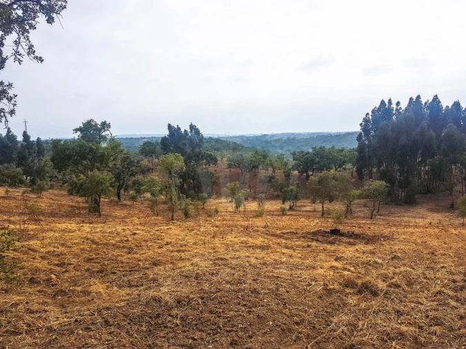 Terreno para Venda em Santiago do Cacém, Santa Cruz e São Bartolomeu da Serra Foto 1
