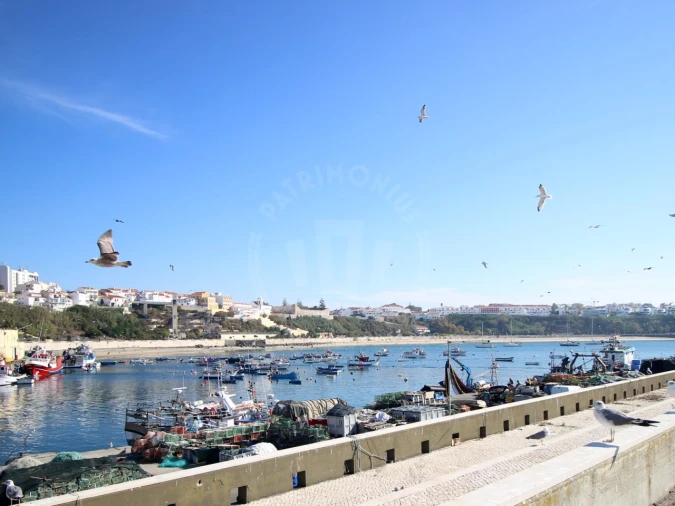 Terreno para Venda em Santiago do Cacém, Santa Cruz e São Bartolomeu da Serra Foto 11