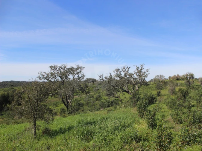 Terreno para Venda em Santiago do Cacém, Santa Cruz e São Bartolomeu da Serra Foto 12