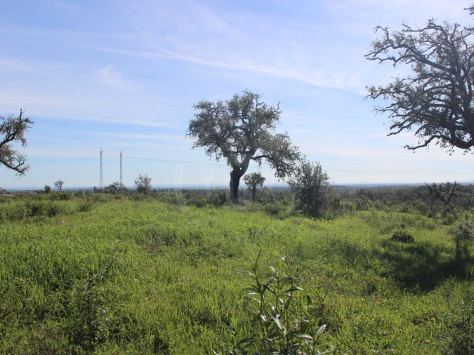 Terreno para Venda em Santiago do Cacém, Santa Cruz e São Bartolomeu da Serra Foto 17