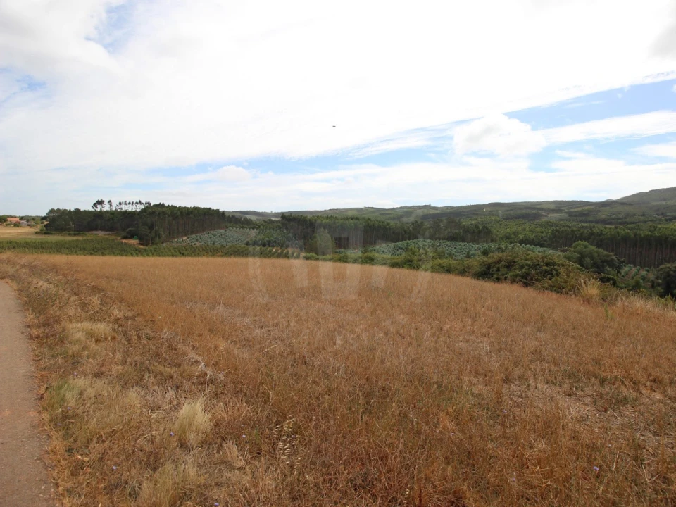 Terreno para Venda em Lamas e Cercal Foto 8