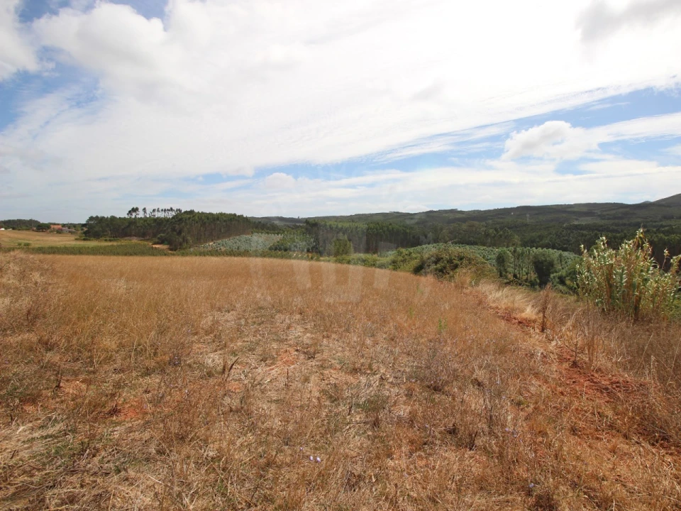 Terreno para Venda em Lamas e Cercal Foto 9