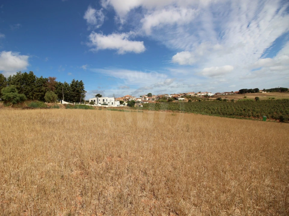 Terreno para Venda em Lamas e Cercal Foto 12