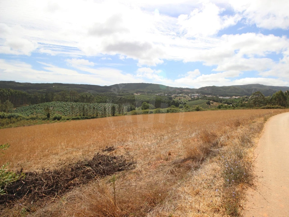 Terreno para Venda em Lamas e Cercal Foto 15