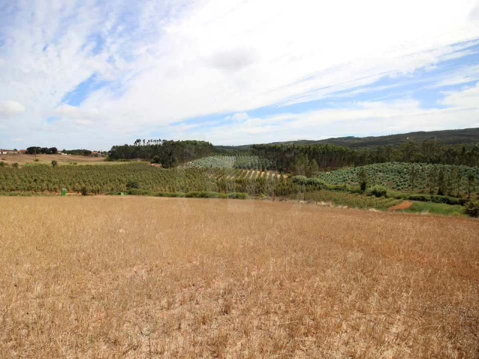Terreno para Venda em Lamas e Cercal Foto 16