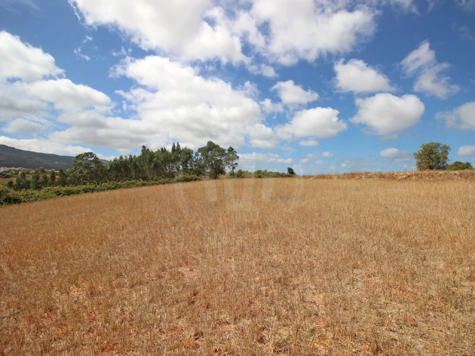 Terreno para Venda em Lamas e Cercal Foto 17