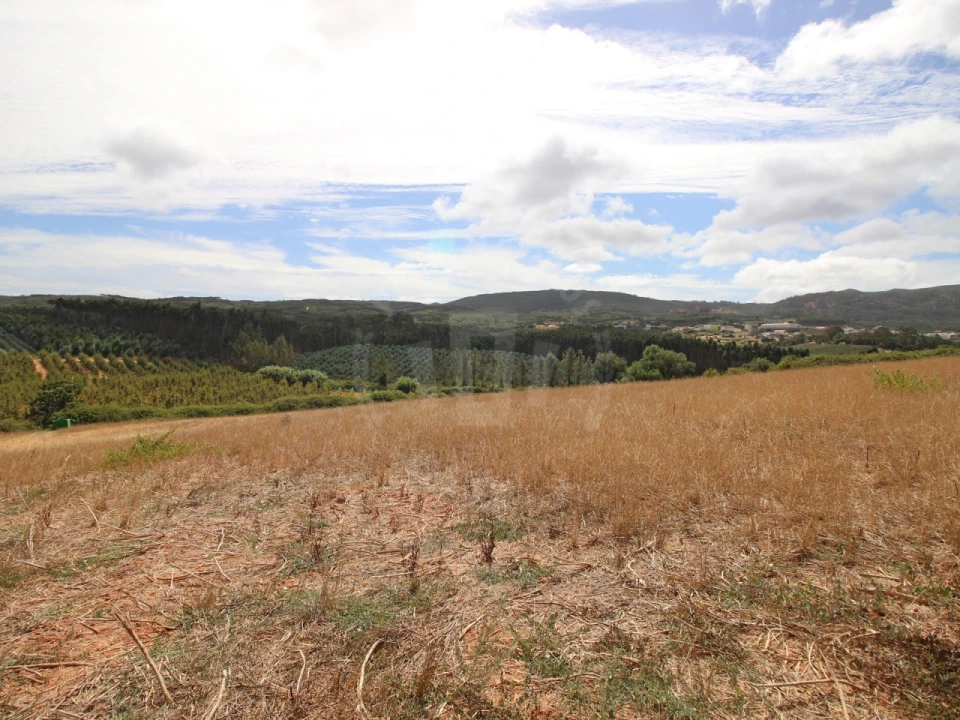Terreno para Venda em Lamas e Cercal Foto 19