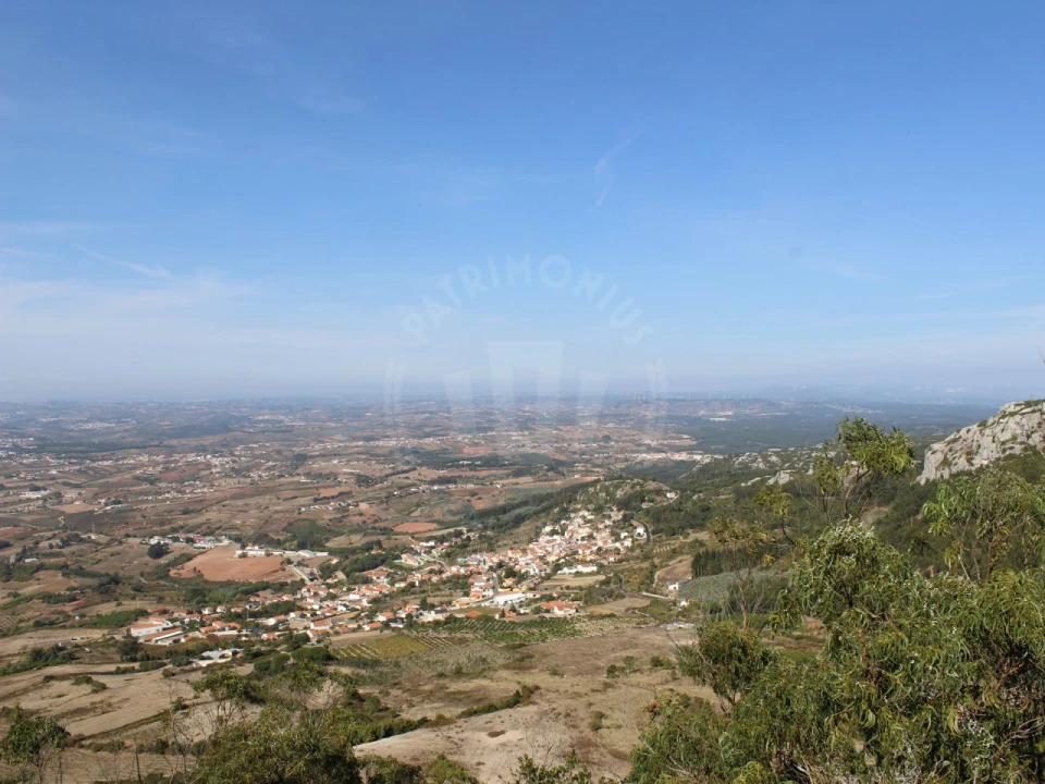 Terreno para Venda em Lamas e Cercal Foto 20
