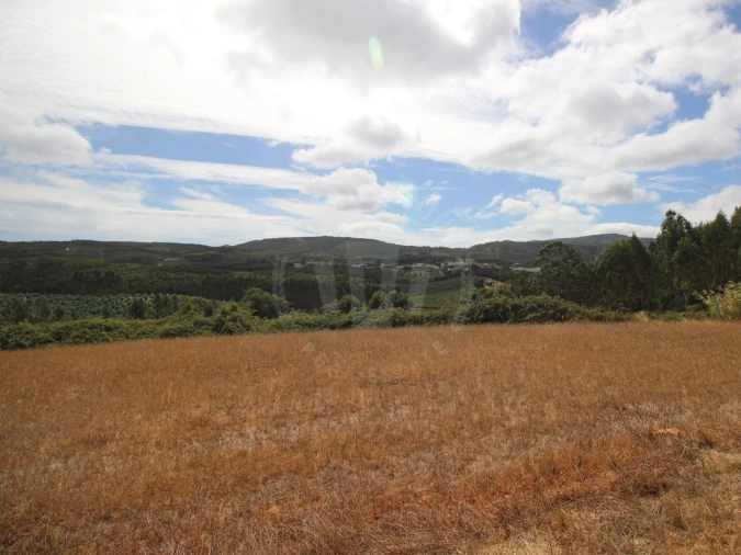 Terreno para Venda em Lamas e Cercal Foto 6