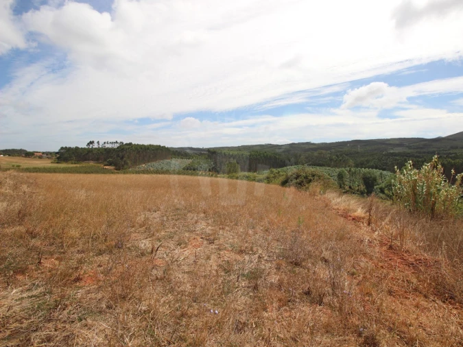 Terreno para Venda em Lamas e Cercal Foto 9