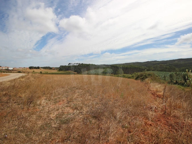Terreno para Venda em Lamas e Cercal Foto 10