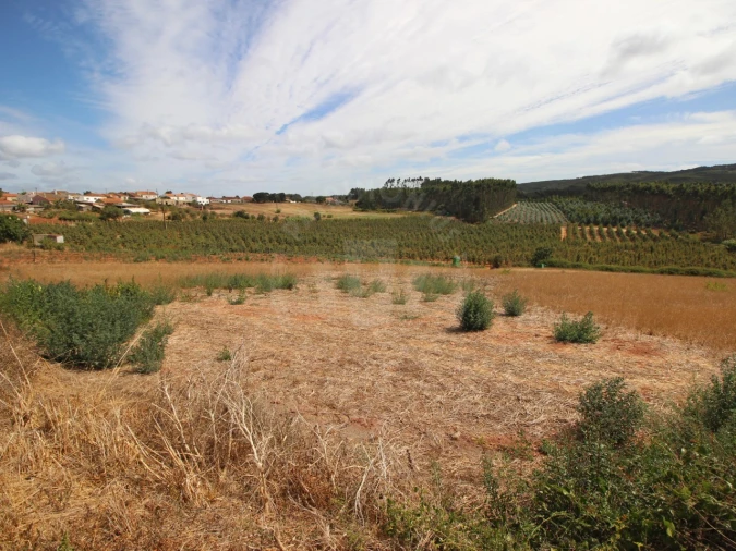 Terreno para Venda em Lamas e Cercal Foto 13
