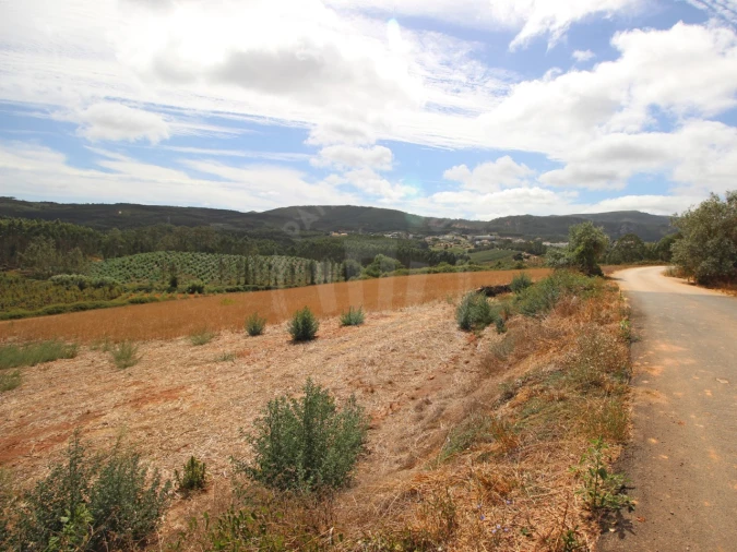 Terreno para Venda em Lamas e Cercal Foto 14
