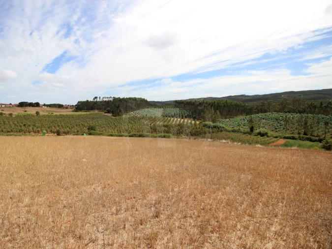 Terreno para Venda em Lamas e Cercal Foto 16