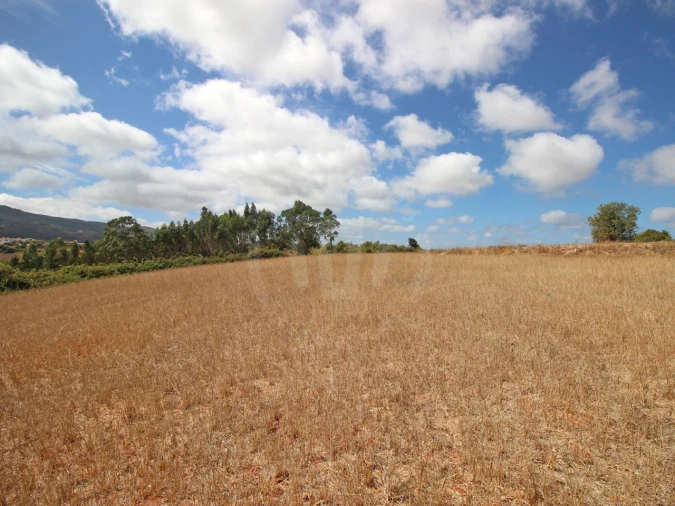 Terreno para Venda em Lamas e Cercal Foto 17