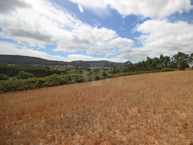Terreno para Venda em Lamas e Cercal Foto 18
