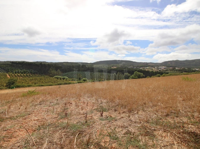 Terreno para Venda em Lamas e Cercal Foto 19