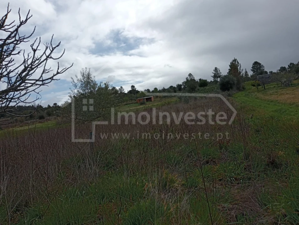 Terreno para Venda em Ninho do Açor e Sobral do Campo Foto 2