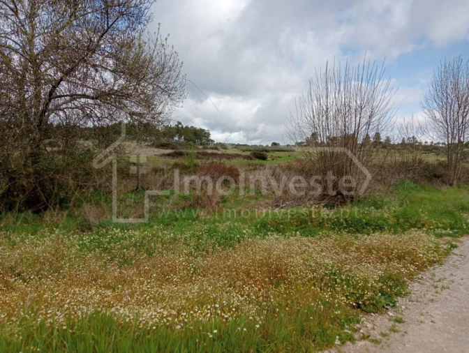 Terreno para Venda em Ninho do Açor e Sobral do Campo Foto 1