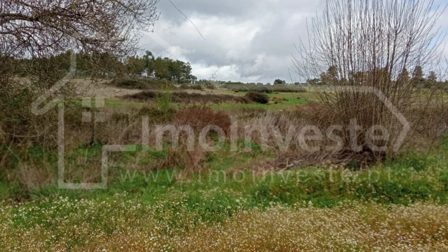 Terreno para Venda em Ninho do Açor e Sobral do Campo
