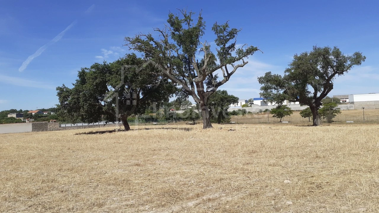 Terreno para Venda em Alcains Foto 3
