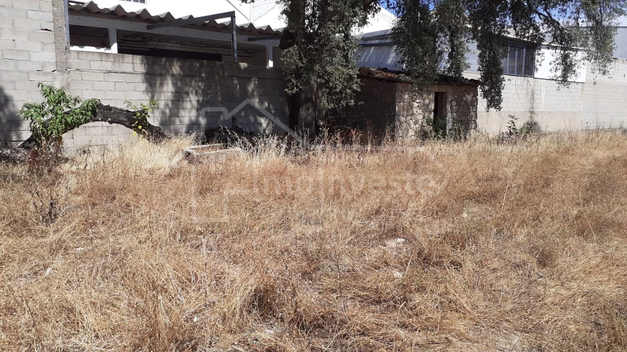 Terreno para Venda em Alcains Foto 5