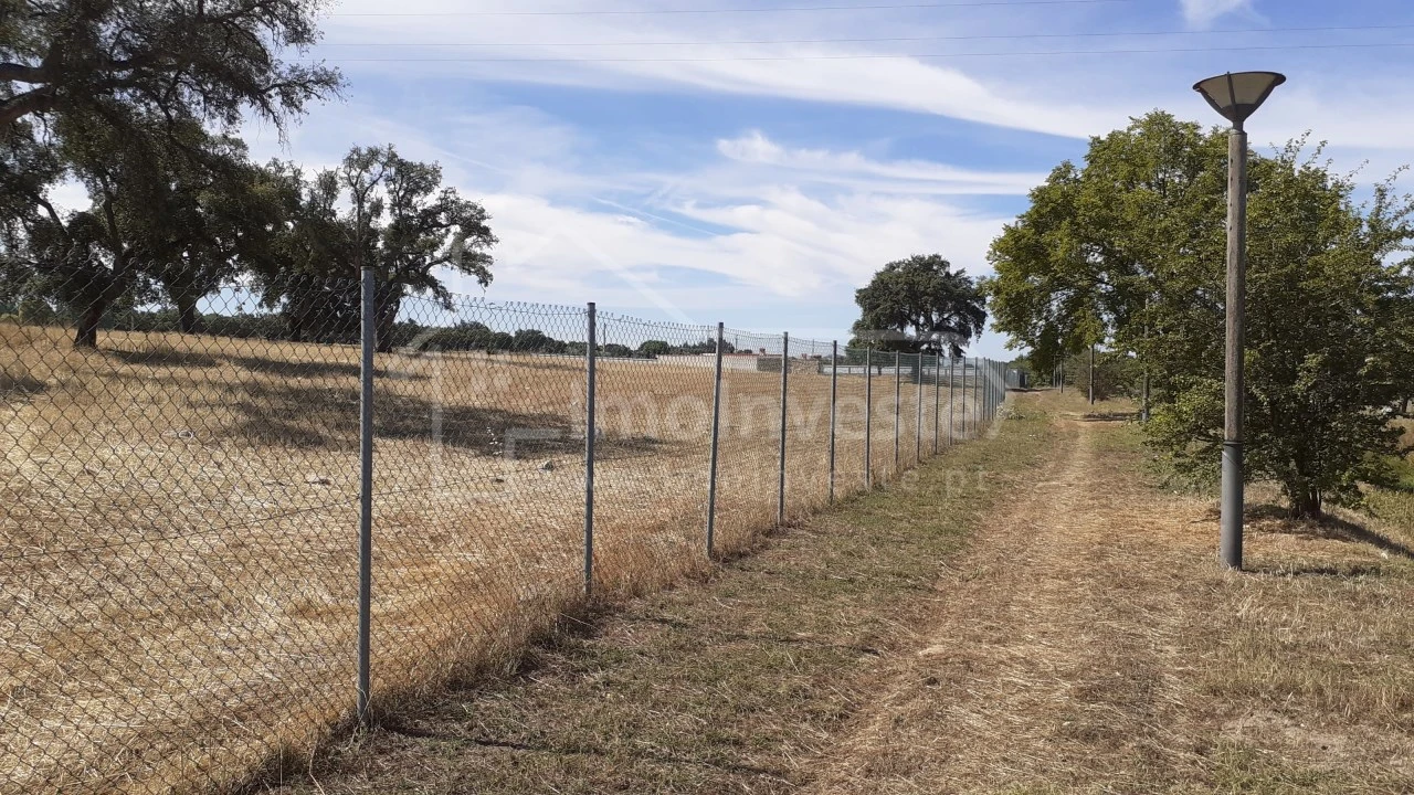Terreno para Venda em Alcains Foto 4