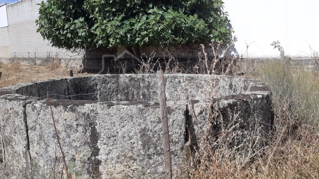 Terreno para Venda em Alcains Foto 6