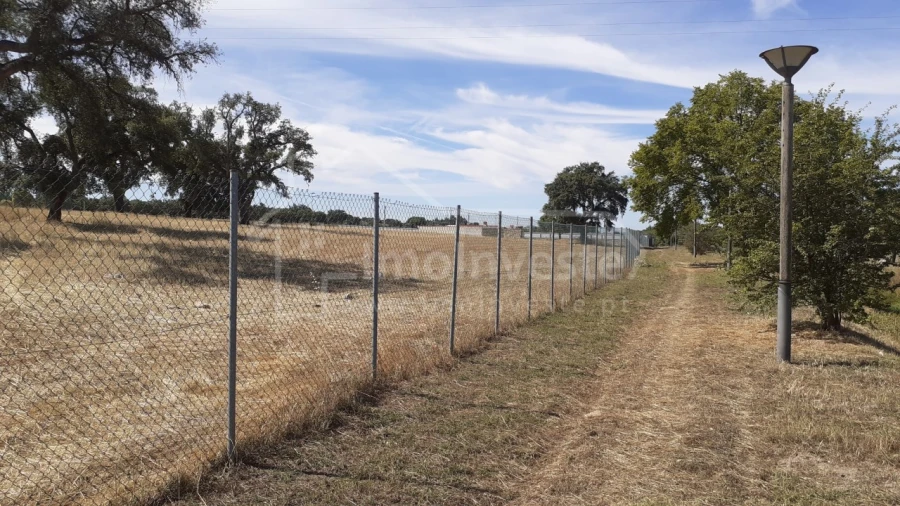 Terreno para Venda em Alcains Foto 4