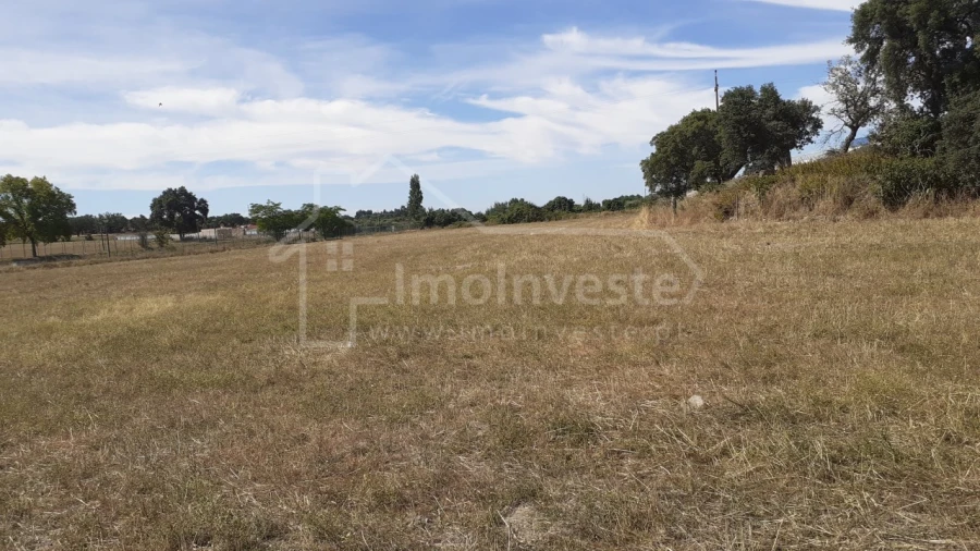 Terreno para Venda em Alcains Foto 1