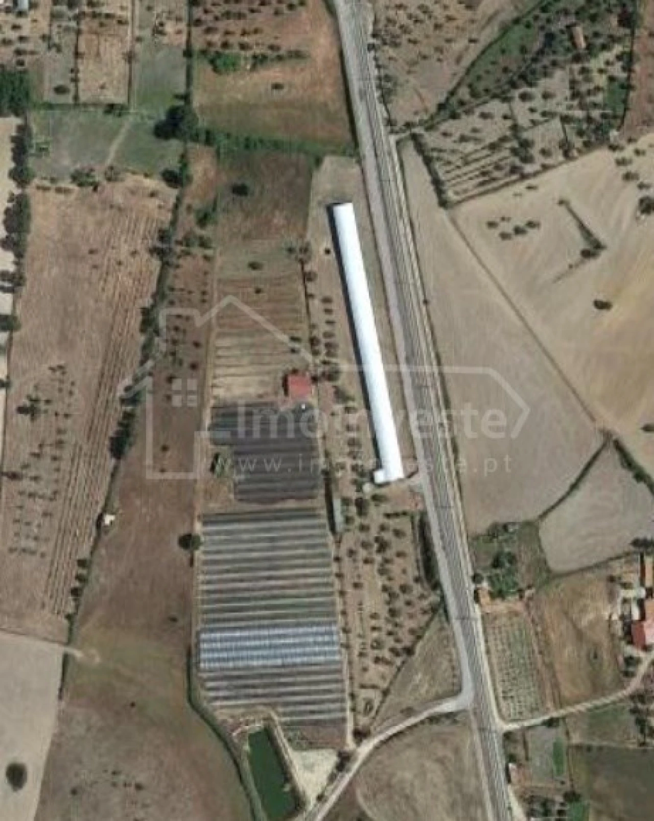 Terreno para Venda em Lardosa Foto 19