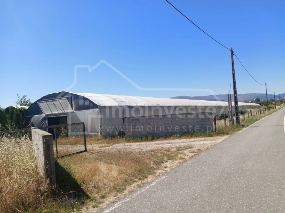 Terreno para Venda em Lardosa Foto 1