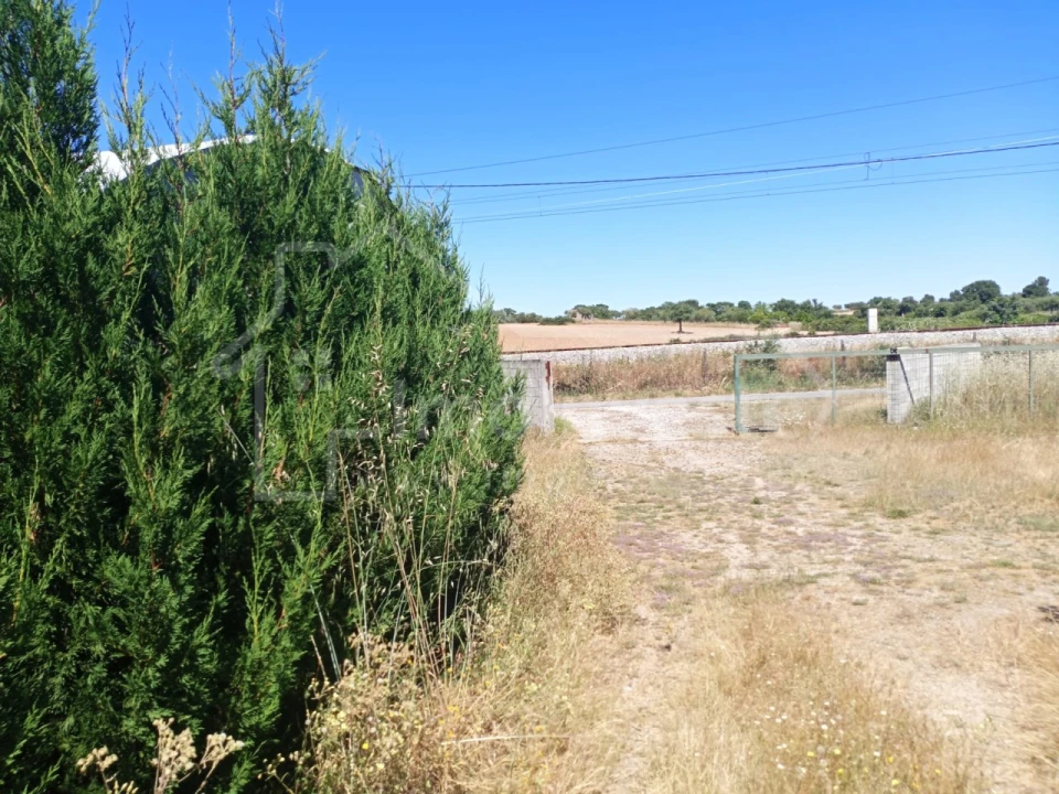 Terreno para Venda em Lardosa Foto 2
