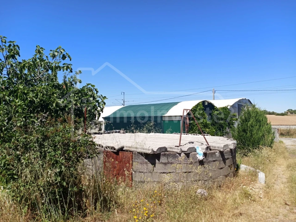 Terreno para Venda em Lardosa Foto 8