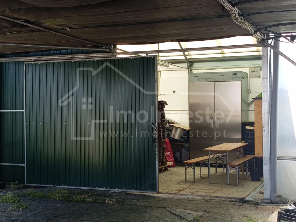 Terreno para Venda em Lardosa Foto 5