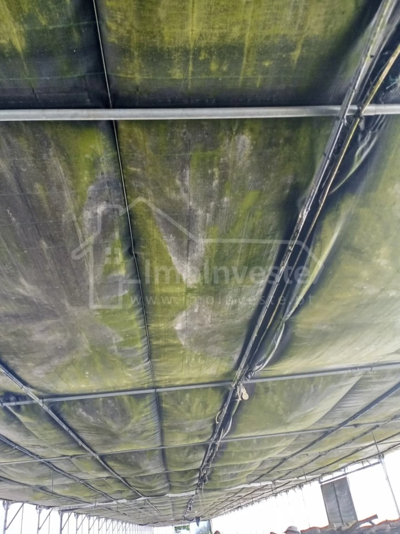 Terreno para Venda em Lardosa Foto 10