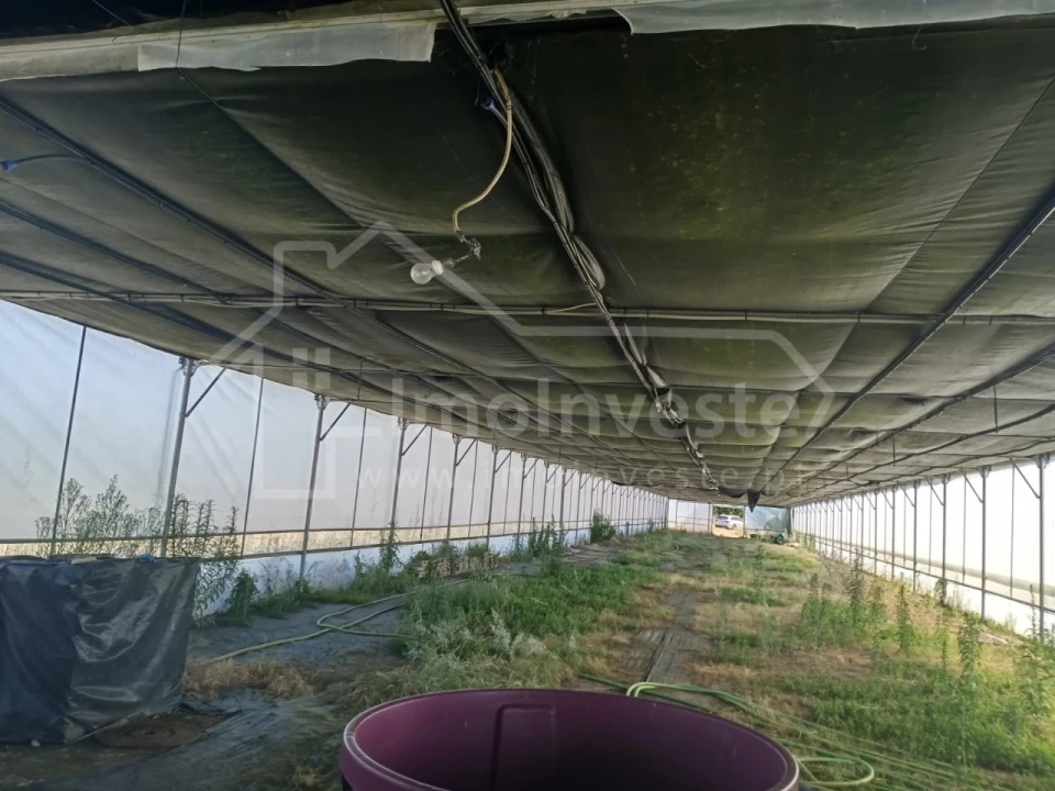 Terreno para Venda em Lardosa Foto 11