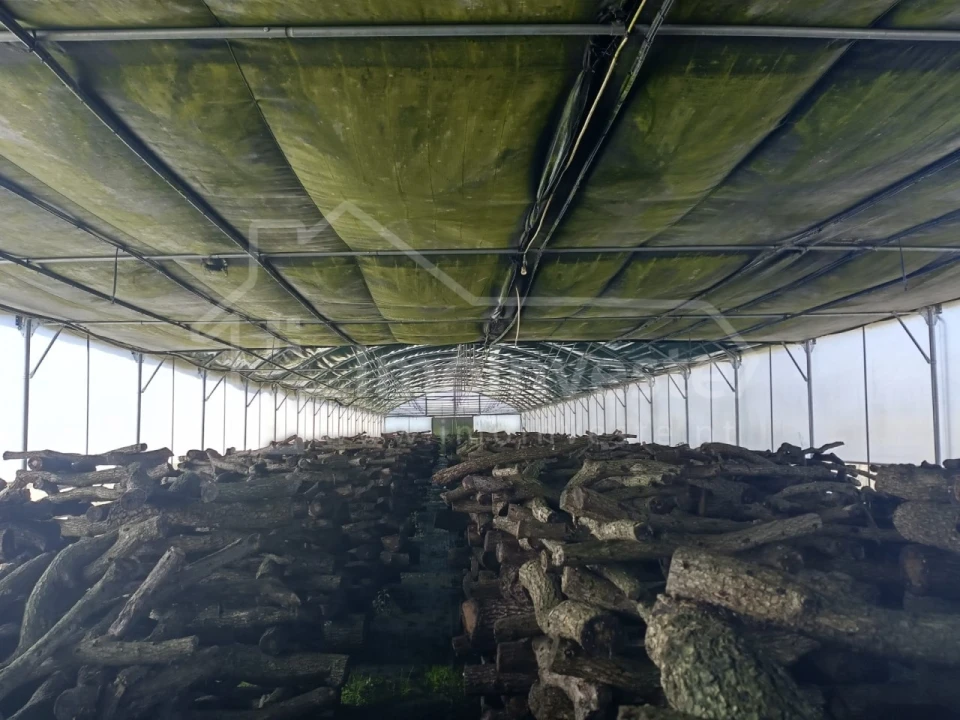 Terreno para Venda em Lardosa Foto 12