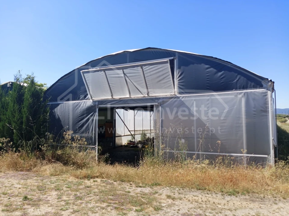 Terreno para Venda em Lardosa Foto 4