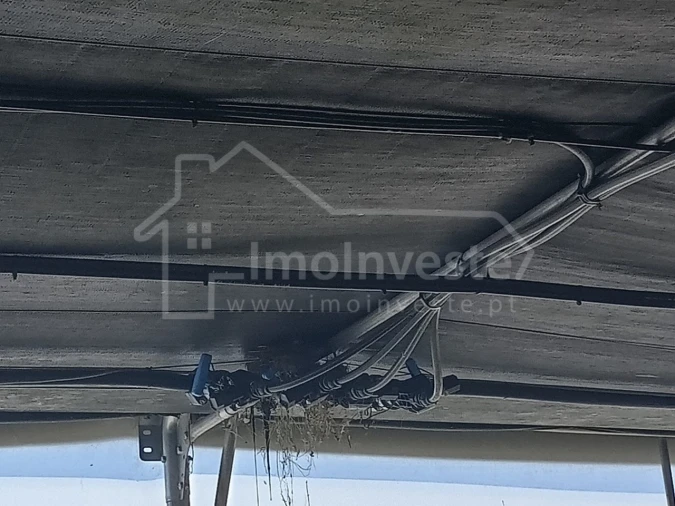 Terreno para Venda em Lardosa Foto 9