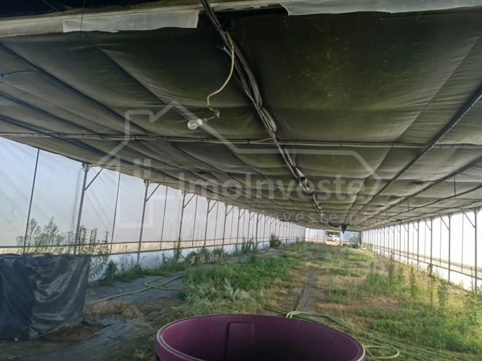 Terreno para Venda em Lardosa Foto 11