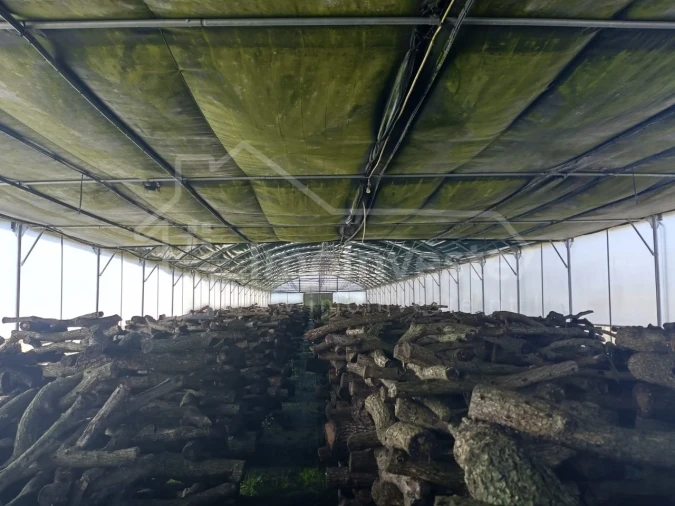 Terreno para Venda em Lardosa Foto 12