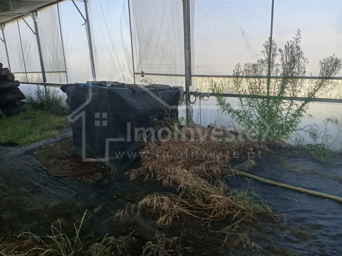 Terreno para Venda em Lardosa Foto 13