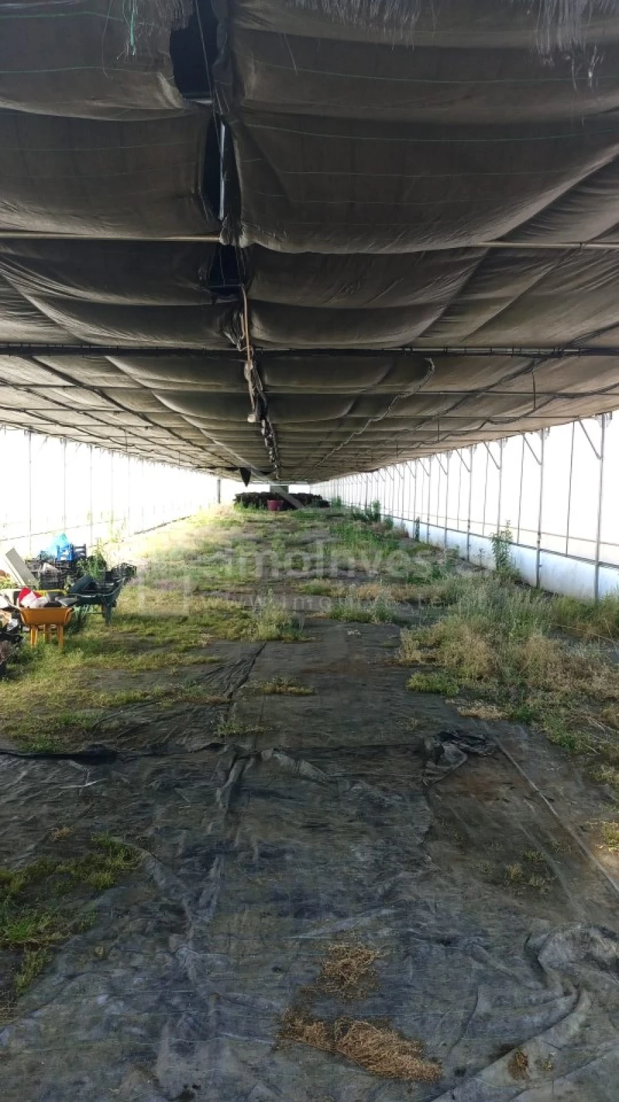 Terreno para Venda em Lardosa Foto 14